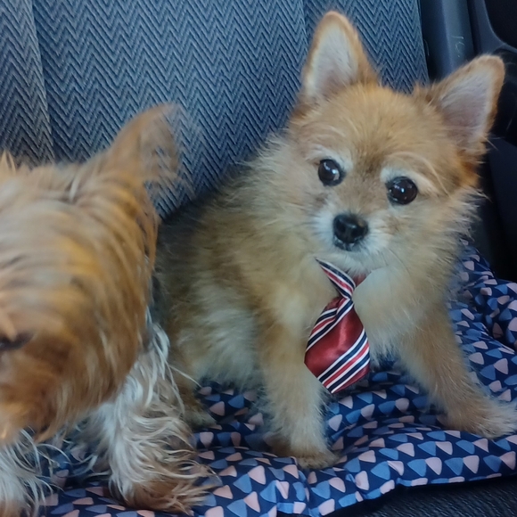 Hi Folks... I'm bunnywunys, your posher 💄💄💄 - Picture 13 of 15